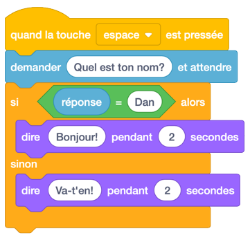 ../_images/scratch_ask_block_1.png
