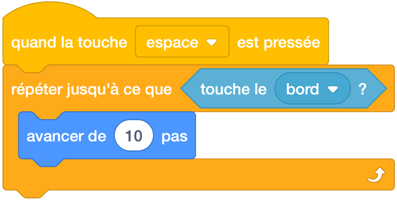 ../_images/scratch_repeat_until_touching_edge.png